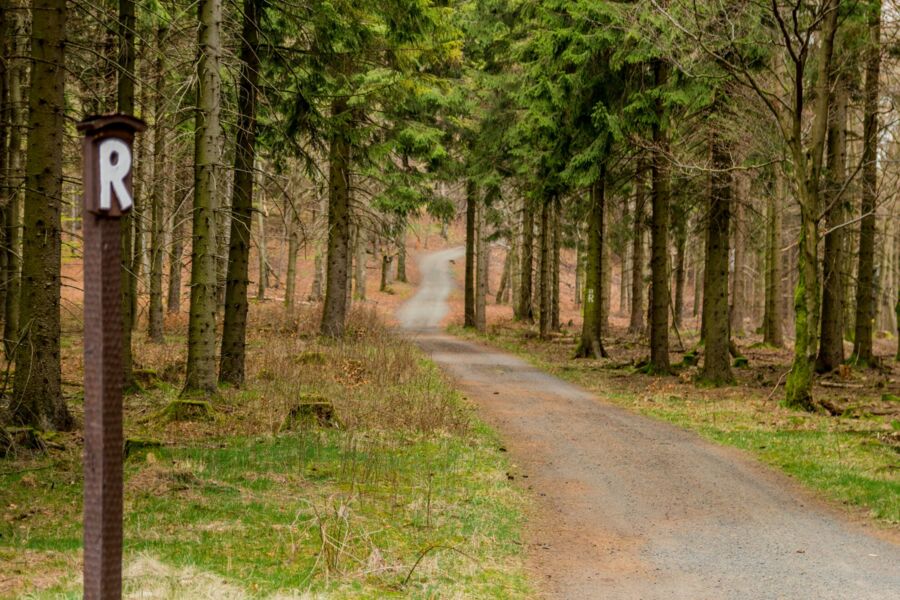 Der Rennsteig im Thüringer Wald