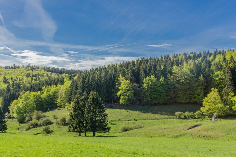 Landschaft im Thüringer Wald