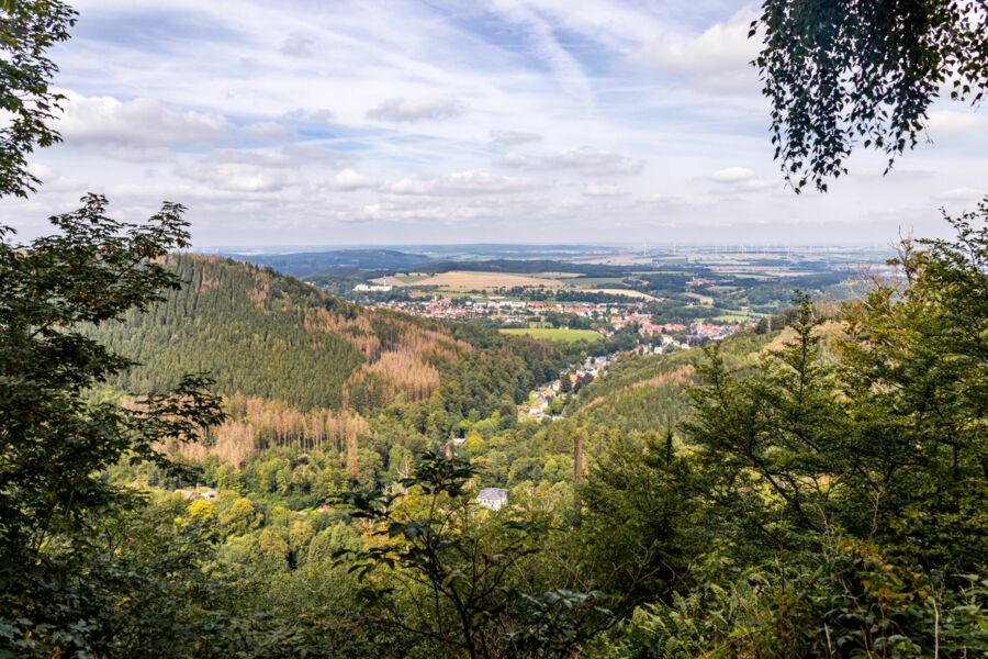 Ausblick im Thüringer Wald