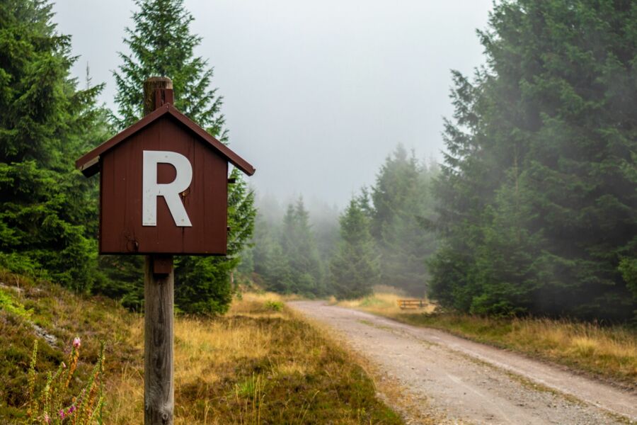 Der Rennsteig im Thüringer Wald